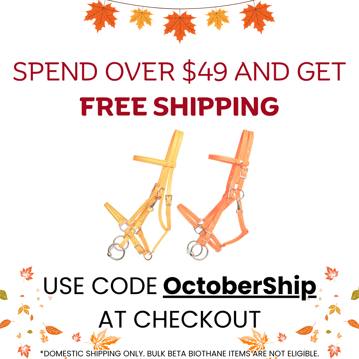 Free Shipping